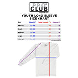 Pro Club Youth Fleece Pullover Hoodie Grey